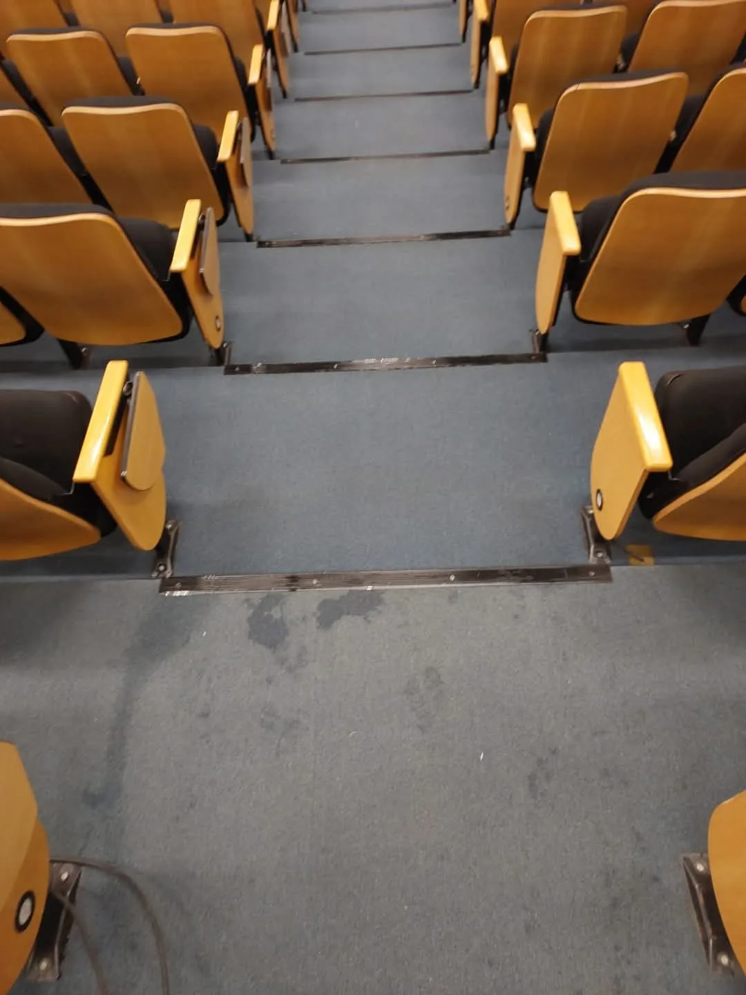 Escadas acarpetadas de auditório durante atendimento da Railimp